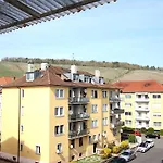 Großzügige Stadtwohnung - Garage, Balkon